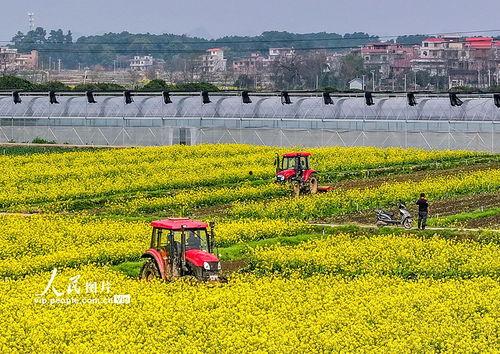 1024国产基地在线,探索中国科技产业的创新与发展 第3张 1024国产基地在线,探索中国科技产业的创新与发展 第3张
